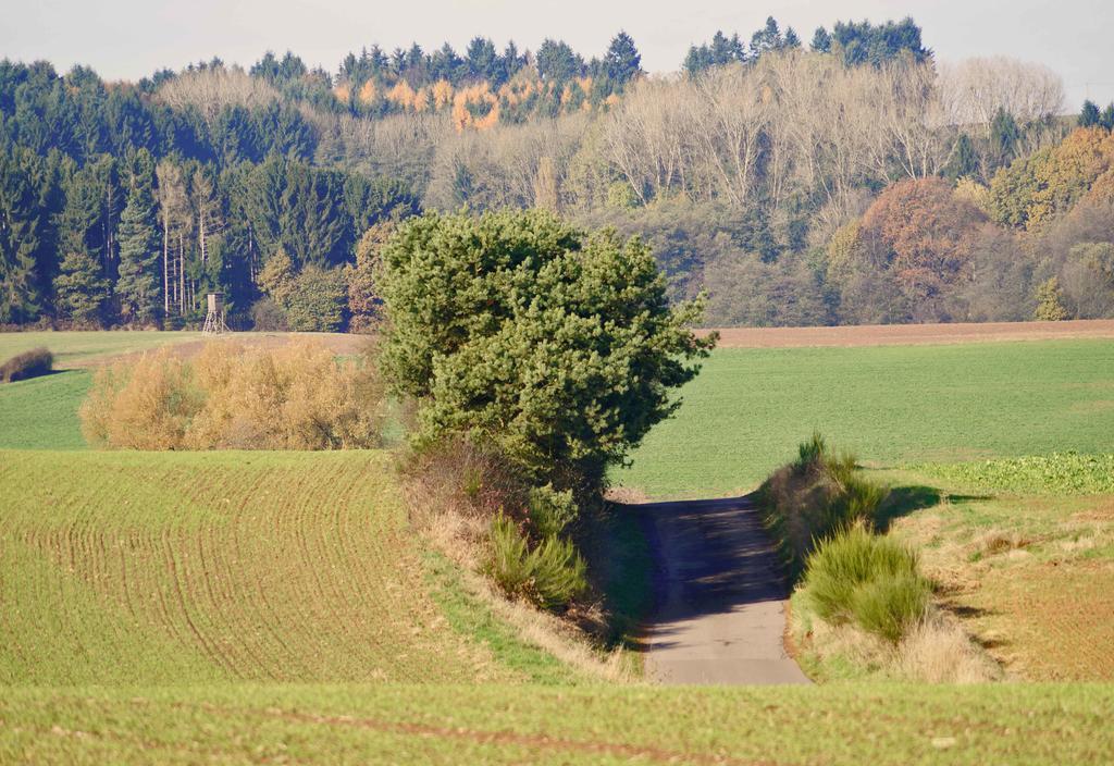Saarlandtraum Weihermuehle Schmelz Экстерьер фото